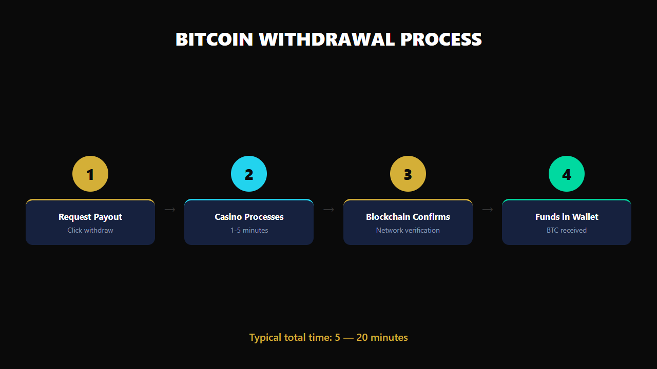 Step-by-step bitcoin casino withdrawal process and feature comparison